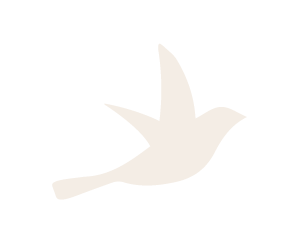 230425 - Icone oiseau_Plan de travail 1 copie